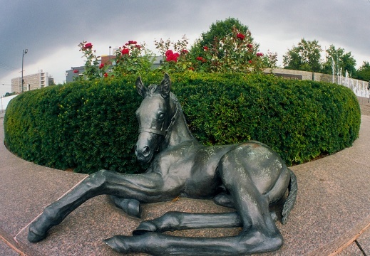 Lexington in early summer